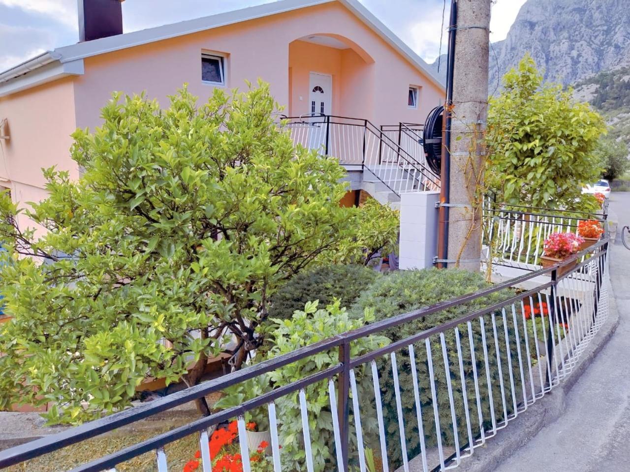 Apartment Dora Kotor Exterior foto